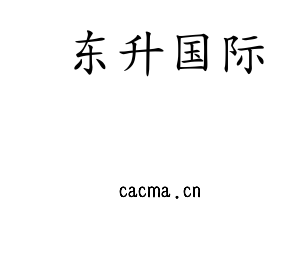 东升国际集团